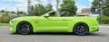 Ford Mustang Convertible 5.0 Ti-VCT V8 Aut. GT 1.Hd Unfallfrei Grün - thumbnail 3