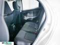 Toyota Yaris 1.5 Hybrid 5 porte Business White - thumbnail 11