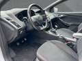 Ford Focus Turnier ST-Line ZAHNRIEM NEU/PDC/1Hand/TEM Blanc - thumbnail 15