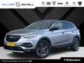 Opel Grandland X Edition 2020 1.2 Turbo 130pk | AGR-STOELEN | CAMER Grijs - thumbnail 1