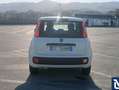 Fiat Panda Panda Easy Hybrid – 2021 – 68.000 km Bianco - thumbnail 5