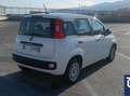 Fiat Panda Panda Easy Hybrid – 2021 – 68.000 km Bianco - thumbnail 6