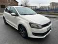 Volkswagen Polo 1.2 TDI DPF 5 p. Comfortline Grau - thumbnail 3