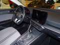 SEAT Leon 1.5 tsi Business 130cv Grigio - thumbnail 11