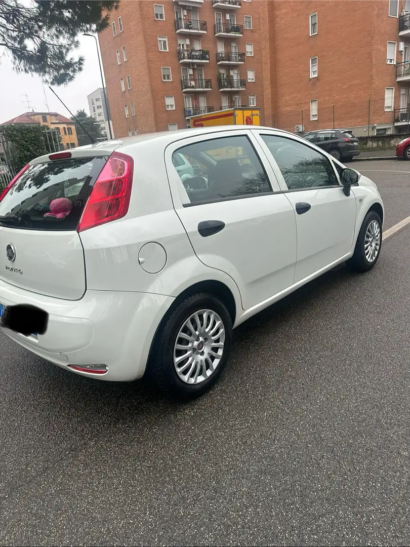 Fiat Punto - 2