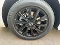 Volkswagen T7 Multivan T7 Multivan Edition 2.0 TDI DSG 18 AHK PANO STHZ Weiß - thumbnail 12