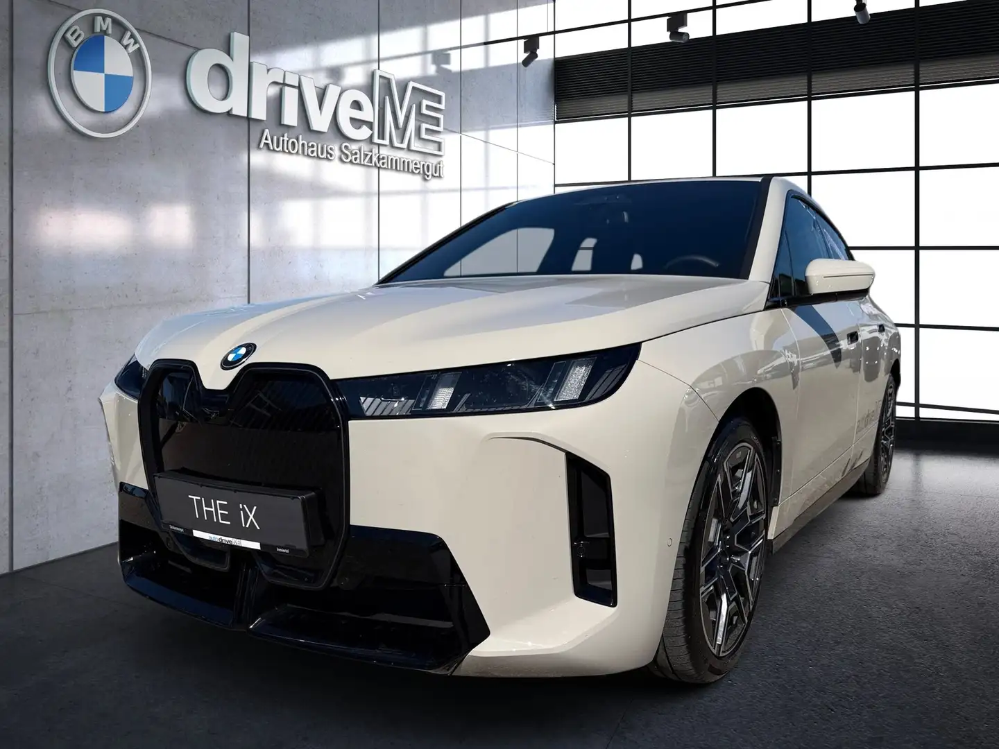 BMW iX iX xDrive45 M Sportpake Grau - 1