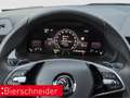 Skoda Kamiq 1.0 TSI DSG Selection LED RFK ACC Silber - thumbnail 14