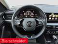Skoda Kamiq 1.0 TSI DSG Selection LED RFK ACC Silber - thumbnail 13