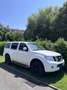 Nissan Pathfinder 2.5 dCi 190PS 4WD Motorschaden Weiß - thumbnail 9