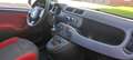 Fiat Panda 3° Serie 2016 0.9 natural power Pop 80cv Euro6 Blanc - thumbnail 7