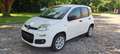 Fiat Panda 3° Serie 2016 0.9 natural power Pop 80cv Euro6 Blanc - thumbnail 12