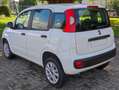 Fiat Panda 3° Serie 2016 0.9 natural power Pop 80cv Euro6 Blanc - thumbnail 10
