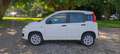 Fiat Panda 3° Serie 2016 0.9 natural power Pop 80cv Euro6 Blanc - thumbnail 11