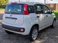 Fiat Panda 3° Serie 2016 0.9 natural power Pop 80cv Euro6 Blanc - thumbnail 9