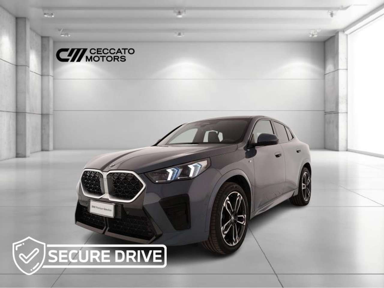 BMW X2 X2 xdrive 20d 48V MSport auto