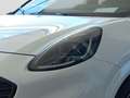 Ford Puma ST-LINE 125 PS EcoBoost/Benzin Mild-Hybrid (SOF... Weiß - thumbnail 7