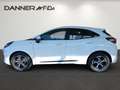 Ford Puma ST-LINE 125 PS EcoBoost/Benzin Mild-Hybrid (SOF... Weiß - thumbnail 6