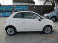 Fiat 500 1.Hand TÜV NEU EURO6 Weiß - thumbnail 9