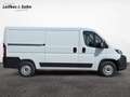 Toyota Proace Max 2.2-l-D 33 L2H1 Work Blanc - thumbnail 6