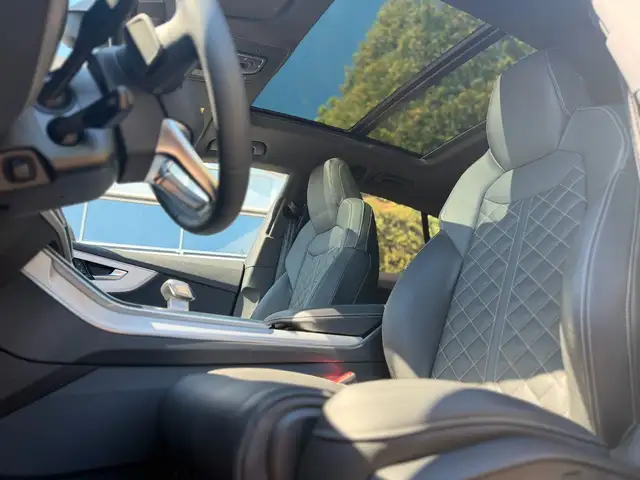 Audi Q8 view 12