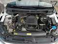 Volkswagen Polo 1.0 TSI Advance 70kW Blanc - thumbnail 14