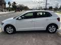 Volkswagen Polo 1.0 TSI Advance 70kW Blanc - thumbnail 6
