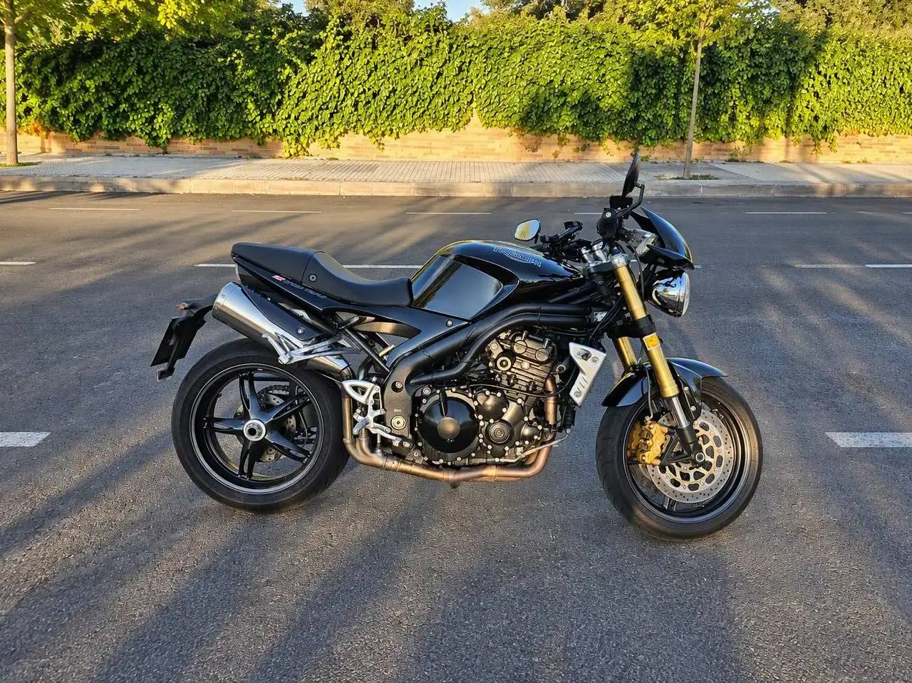 Triumph Speed Triple 1050