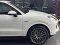 Porsche Cayenne Cayenne Hyrid Platinum Edition Weiß - thumbnail 3