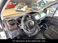 Fiat Talento Kasten L2H1 Top Zustand TÜV/HU Neu Klima - thumbnail 10