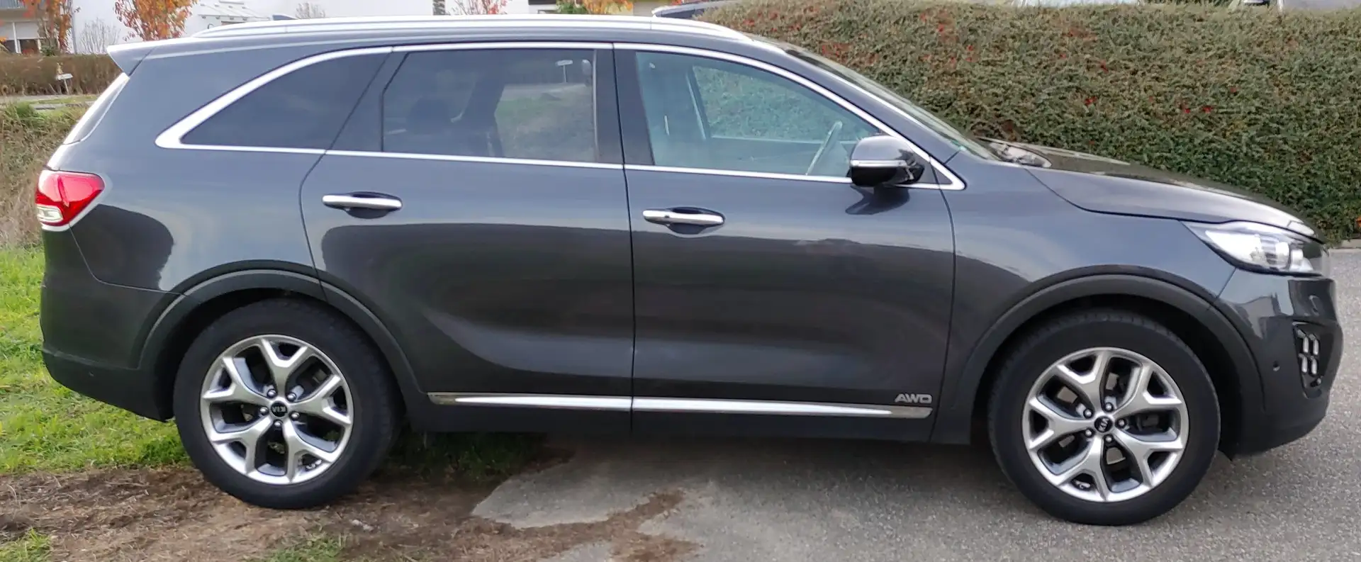 Kia Sorento Sorento 2.2 CRDi AWD Aut. Platinum Edition Gris - 1