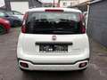 Fiat Panda 1.0i MHEV City Cross | | CARPLAY | CLIM AUTO | Blanc - thumbnail 5