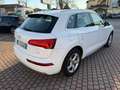 Audi Q5 2.0 TDI 150 CV Sport Bianco - thumbnail 13