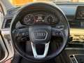 Audi Q5 2.0 TDI 150 CV Sport Bianco - thumbnail 6