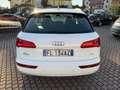 Audi Q5 2.0 TDI 150 CV Sport Bianco - thumbnail 14