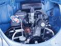 Volkswagen Kever Brilkever | 1951 | Concoursstaat | Zeldzaam vroeg Blau - thumbnail 28