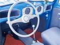 Volkswagen Kever Brilkever | 1951 | Concoursstaat | Zeldzaam vroeg Blau - thumbnail 25