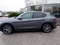 Alfa Romeo Stelvio Stelvio 2017 2.2 t Business Q4 180cv auto Grigio - thumbnail 7