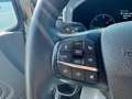 Ford Tourneo Custom 320 2.0 EcoBlue 185CV aut. PC Active IVA ESPOSTA Bronze - thumbnail 14