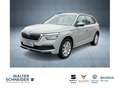 Skoda Kamiq 1.0 TSI Clever LED SHZ PDC Gris - thumbnail 1