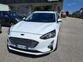 Ford Focus Focus SW 1.5 ecoblue Business Co-pilot s Bianco - thumbnail 14