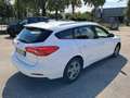Ford Focus Focus SW 1.5 ecoblue Business Co-pilot s Bianco - thumbnail 4