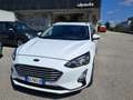 Ford Focus Focus SW 1.5 ecoblue Business Co-pilot s Bianco - thumbnail 1