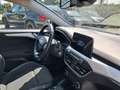 Ford Focus Focus SW 1.5 ecoblue Business Co-pilot s Bianco - thumbnail 13