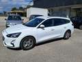 Ford Focus Focus SW 1.5 ecoblue Business Co-pilot s Bianco - thumbnail 2