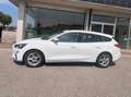 Ford Focus Focus SW 1.5 ecoblue Business Co-pilot s Bianco - thumbnail 10