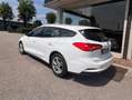 Ford Focus Focus SW 1.5 ecoblue Business Co-pilot s Bianco - thumbnail 9