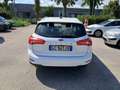 Ford Focus Focus SW 1.5 ecoblue Business Co-pilot s Bianco - thumbnail 5