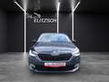 Skoda Fabia TSI Drive-125 Climatronic GRA PDC SH LM Grau - thumbnail 9