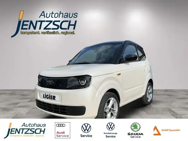 Ligier Myli E.PIC  ab15fahren